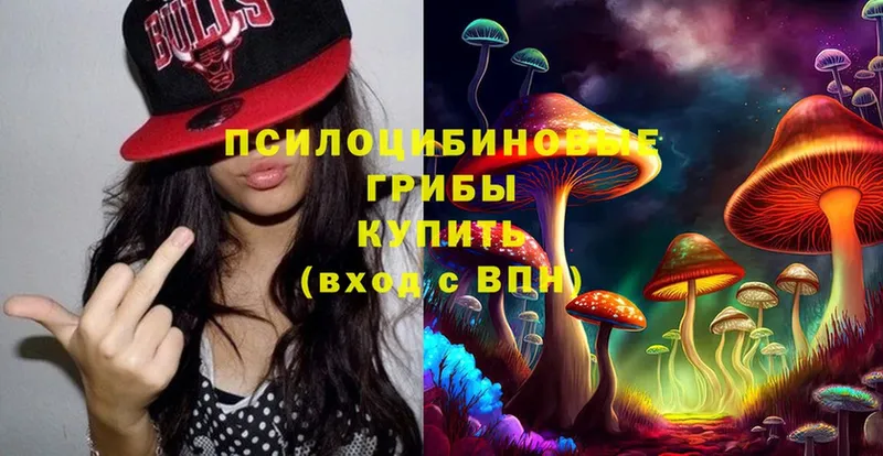 Псилоцибиновые грибы MAGIC MUSHROOMS  Кизилюрт 